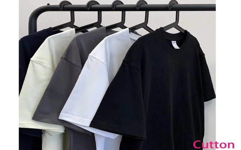 Beyond the Tracks: The Story Behind Train Dreams Merchandise Craze