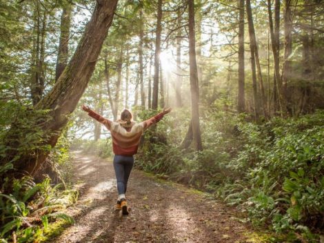 Balanced Meal Portions for Long Term Wellness